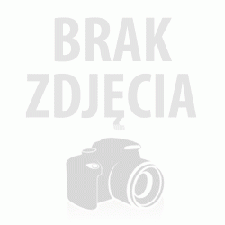 Zawias toczony z kulką do bram furtek 22 mm PL